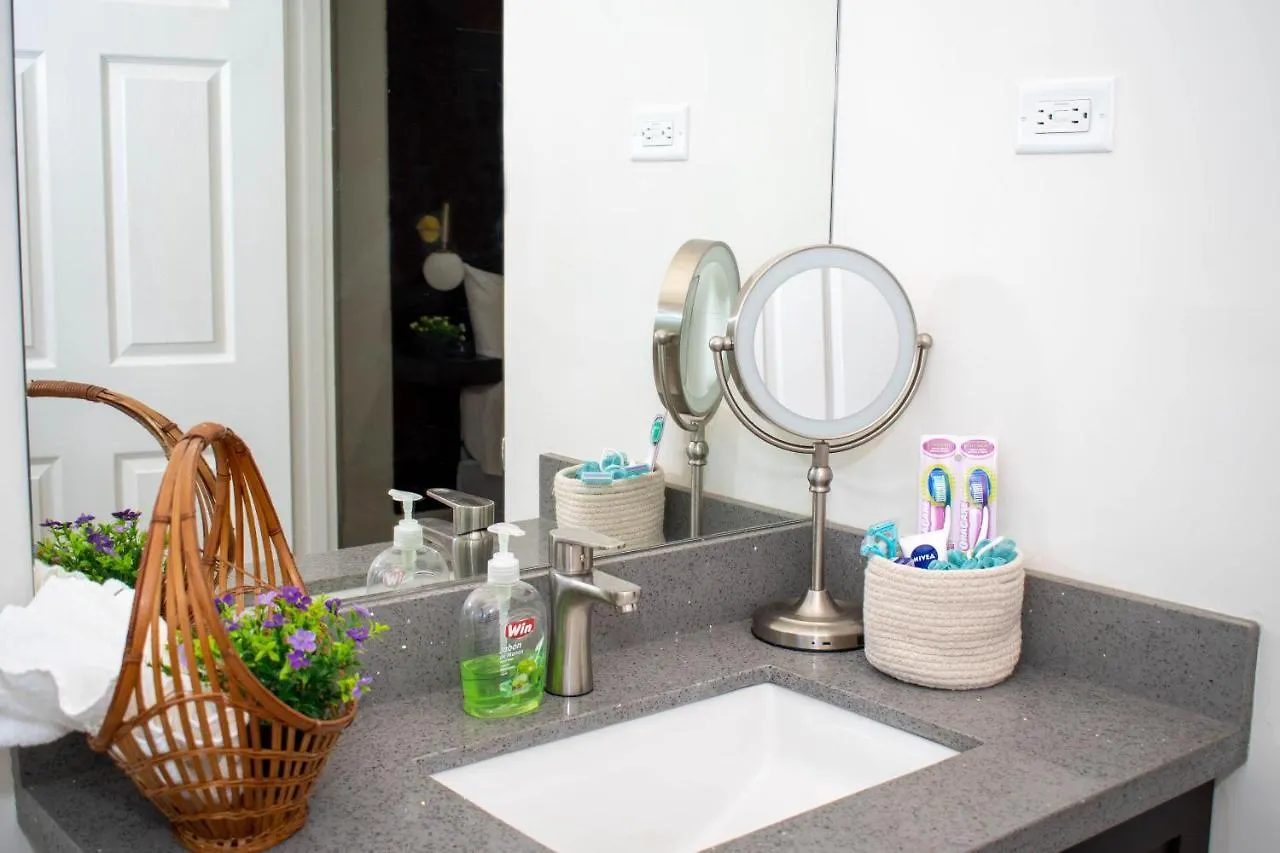 King Bed Studio/Gated/Fast Wi-Fi/Near Ocho Rios Apartment Boscobel Homestay